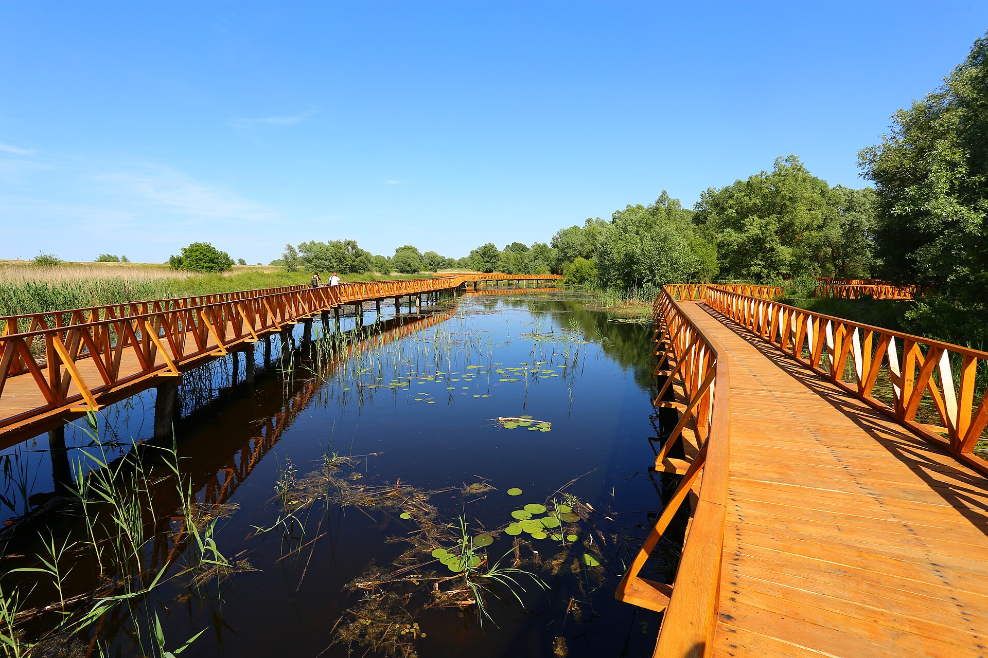 Park prirode Kopački rit