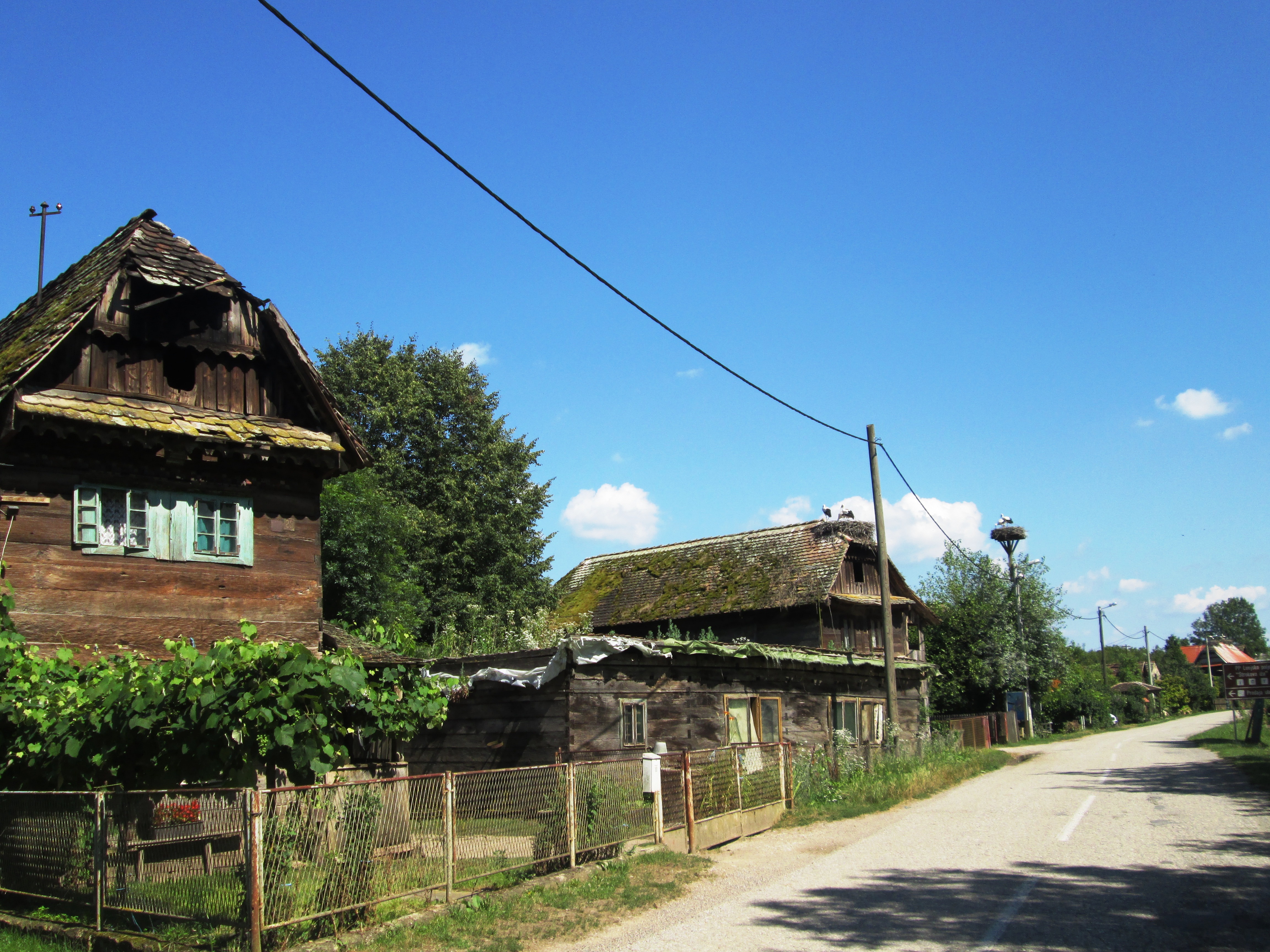 Lonjsko polje i Čigoč