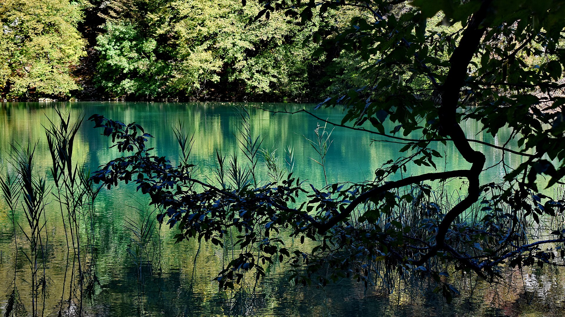 Nacionalni park Plitvička jezera