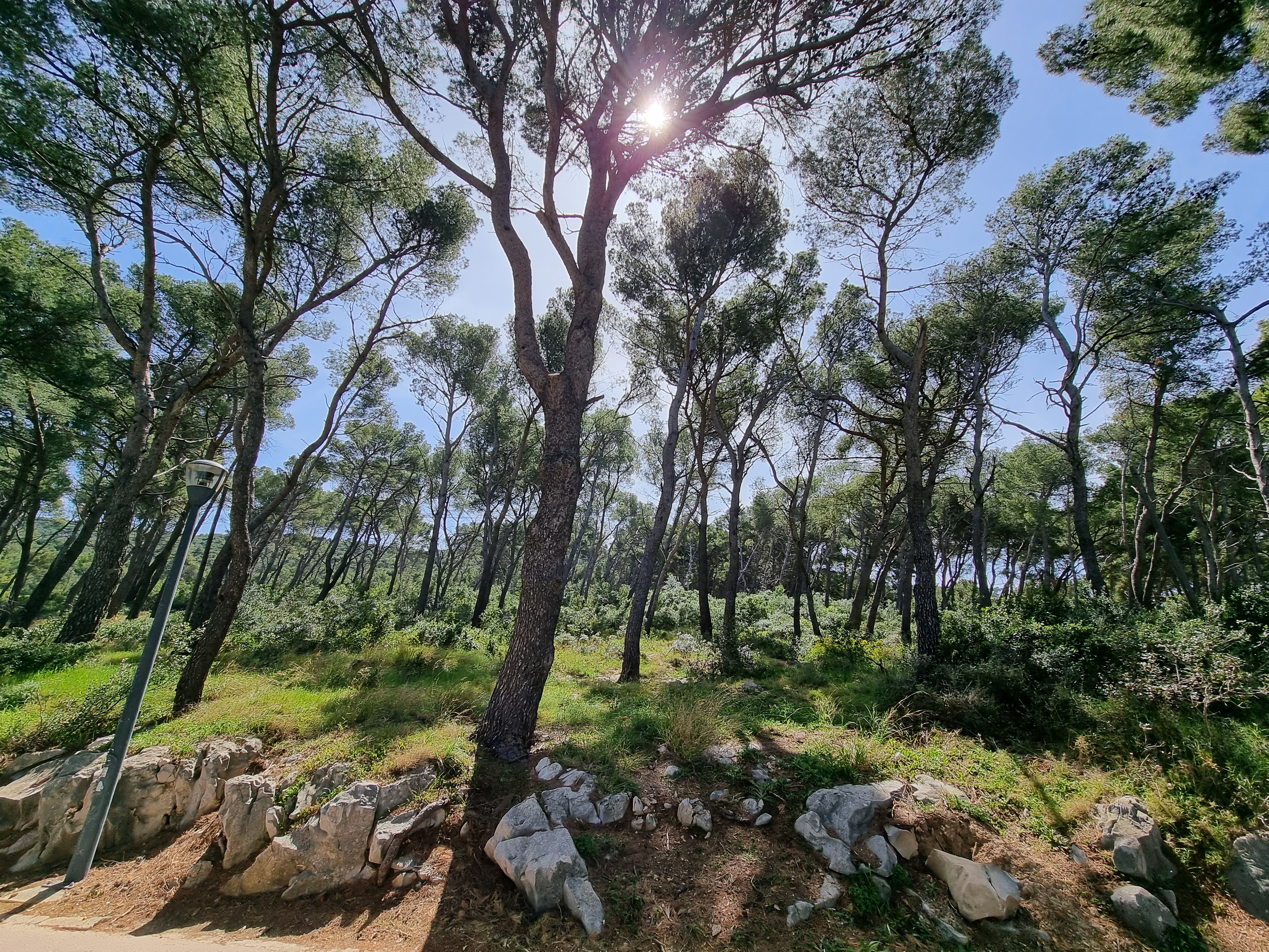 Park-šuma Marjan