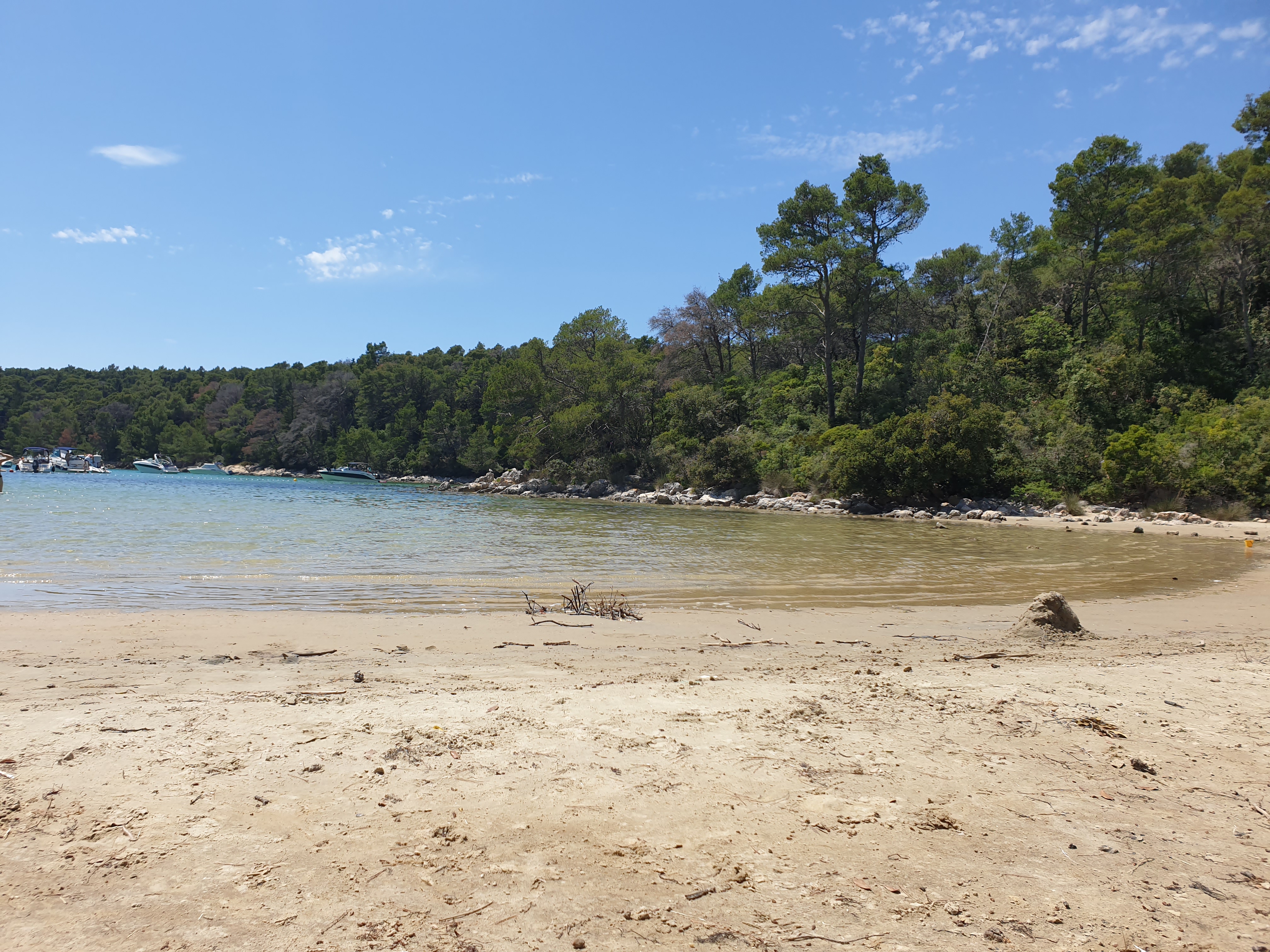 Suha Punta