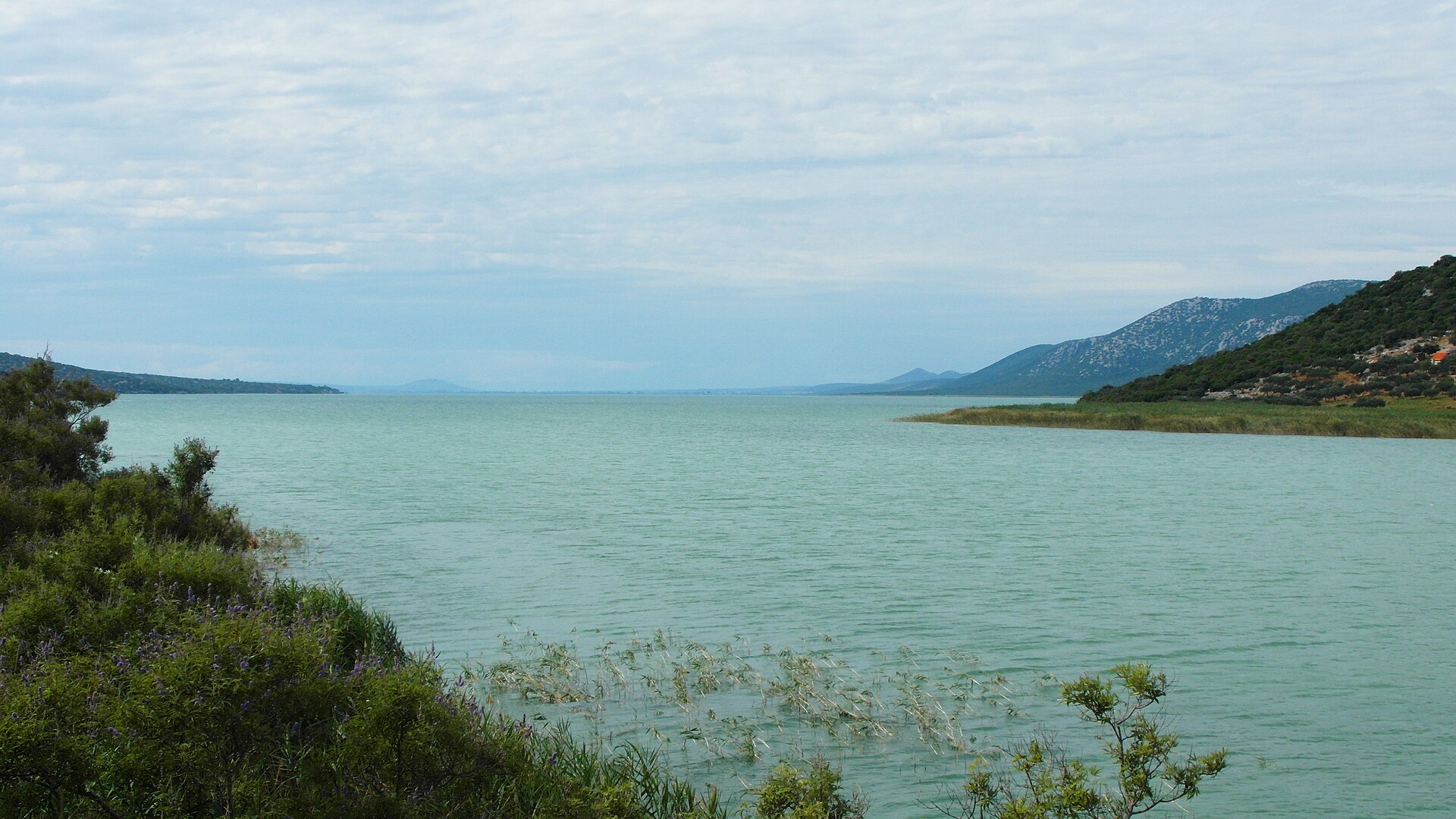 Vransko jezero
