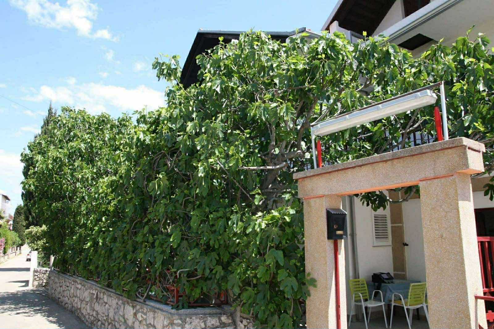 VODICE - VILA TANJA *** 3