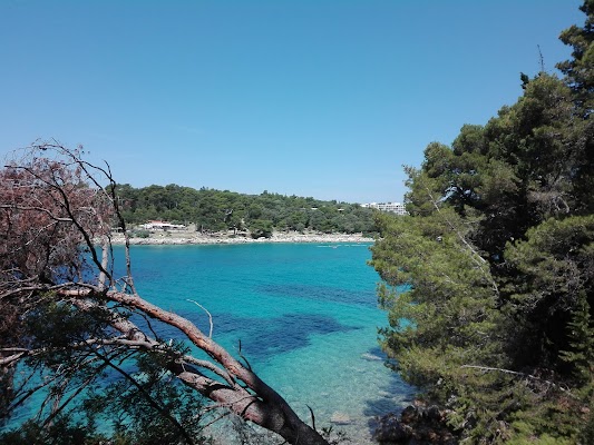 Suha Punta Beach