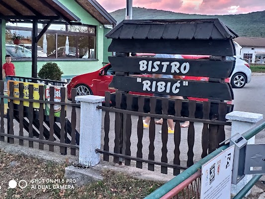 Bistro Ribič