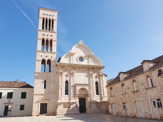 Saint Stephen's Cathedral