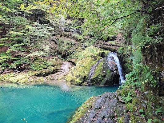 Zeleni Vir, water spring