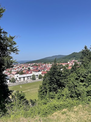 Delnice