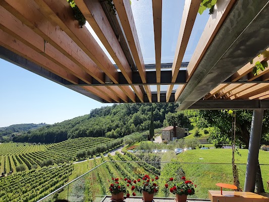 Kozlović Winery