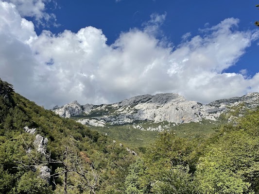 Paklenica Starigrad suvenirnica
