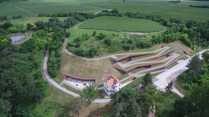 Vučedol Culture Museum and Archaeological Site