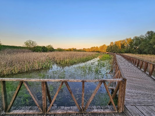 Kopački rit Nature Park