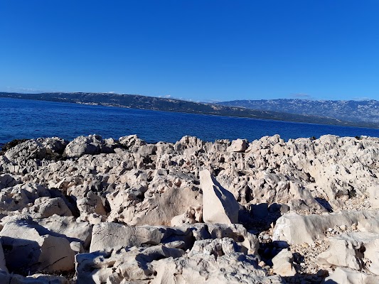 Panorama View