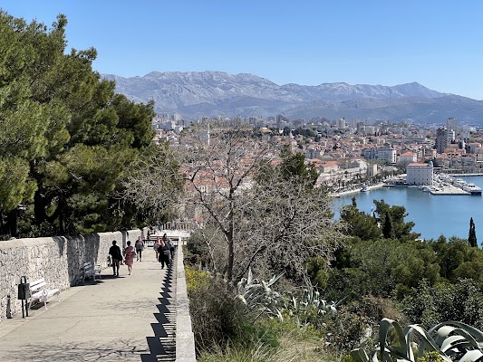 Forest Park Marjan