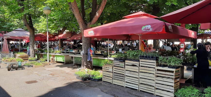 City Market
