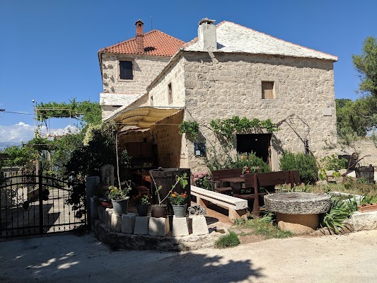 Olive oil museum