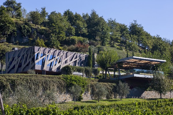 Kozlović Winery