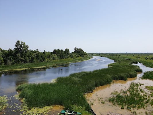Special Nature Reserve ''Zasavica''