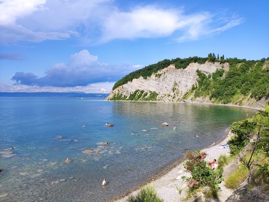Mesečev Zaliv