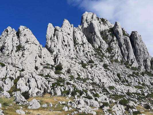 Majstorska cesta