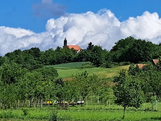 Križevci