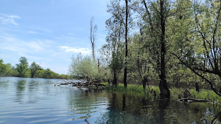 Čigoč - europsko selo roda